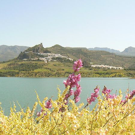 Casa Rural-Apartamento El Lebrillero Zahara De La Sierra Dış mekan fotoğraf